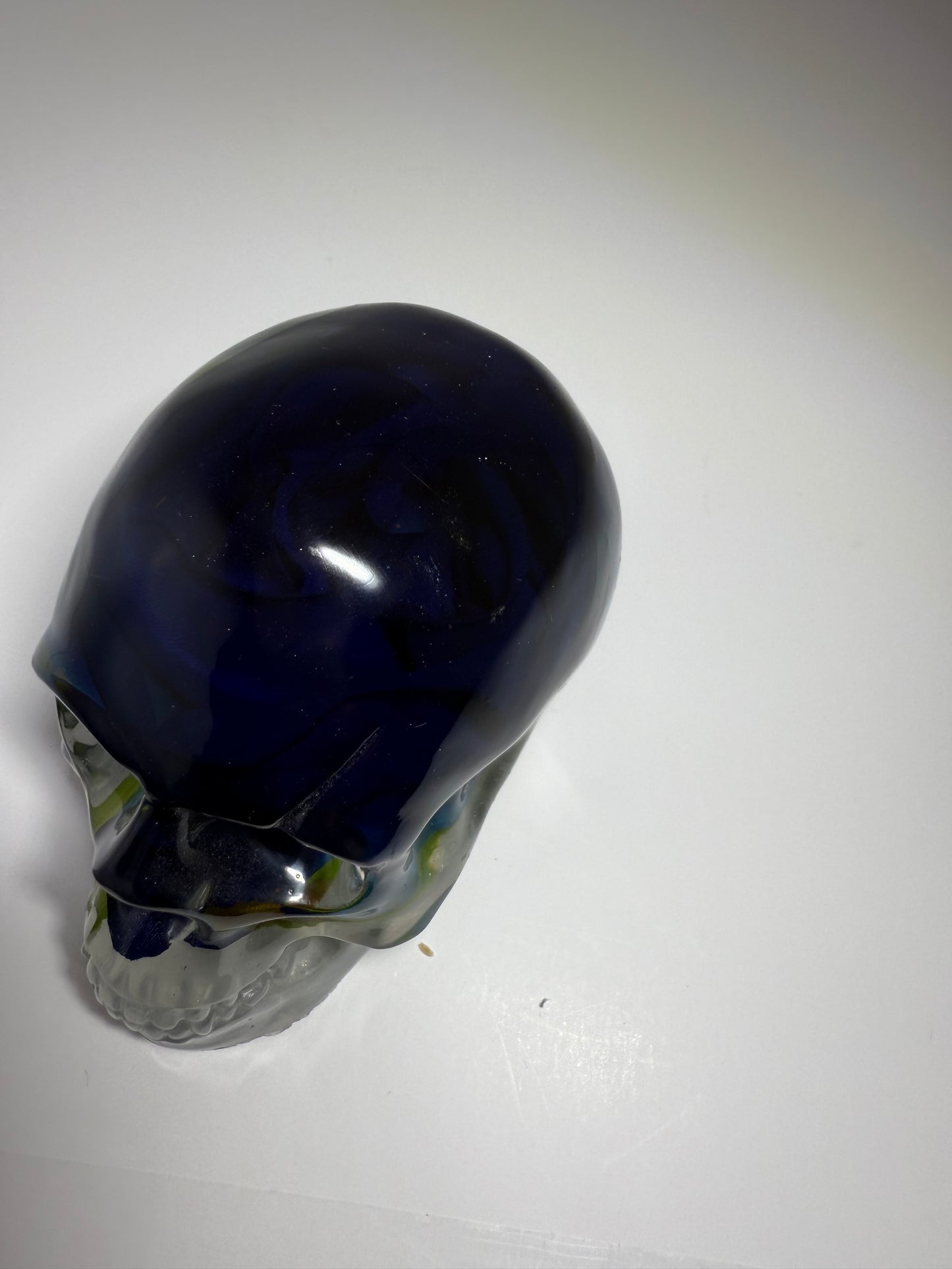 Extra Large Resin Skull with blue rose inside