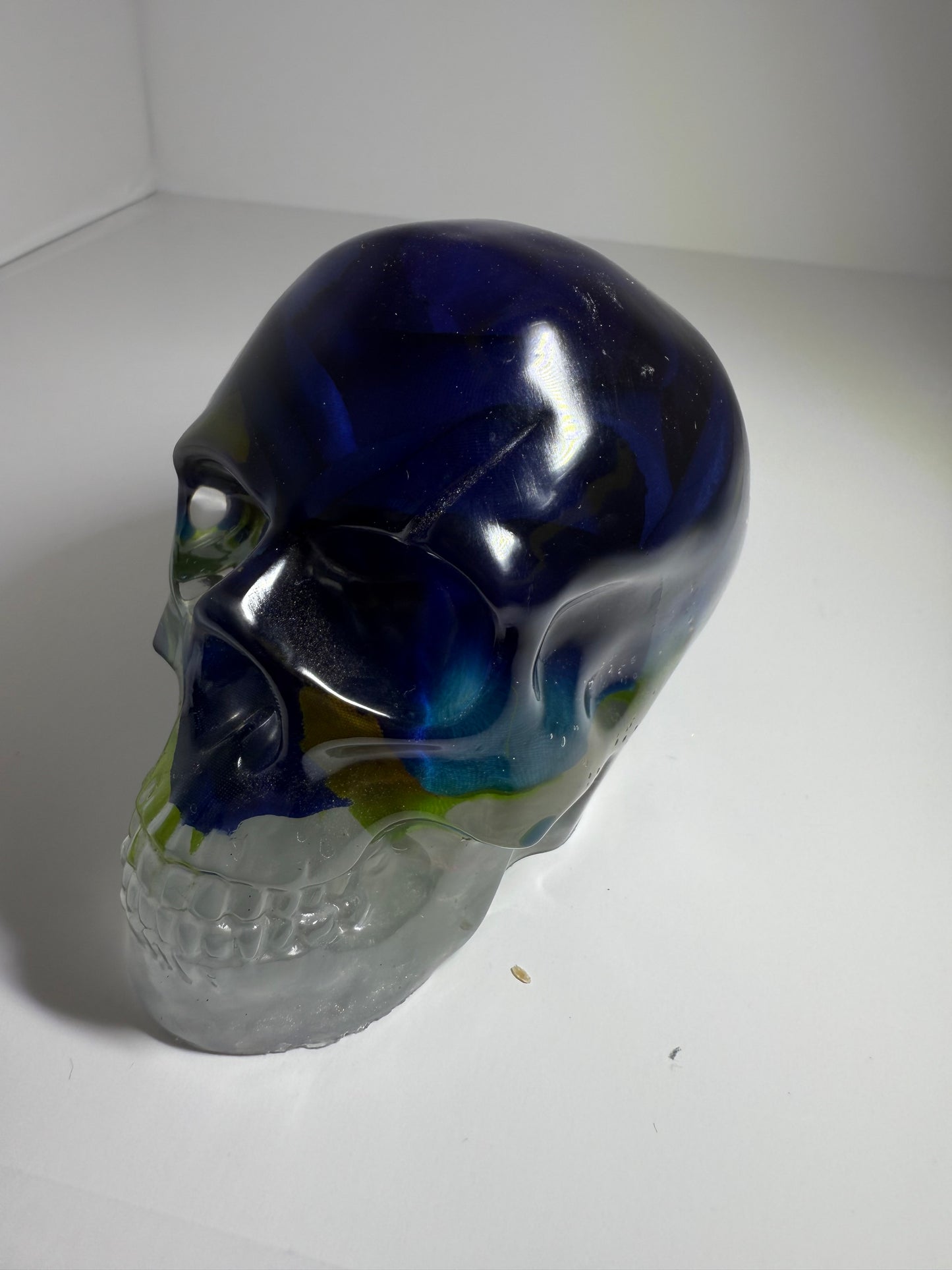 Extra Large Resin Skull with blue rose inside